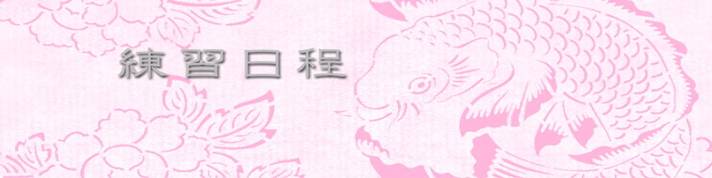 練習日程